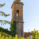 I Due Gelsi Wood Monte San Giusto